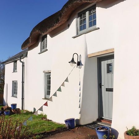 Cobb Cottage - Hiddendevon Winkleigh ภายนอก รูปภาพ