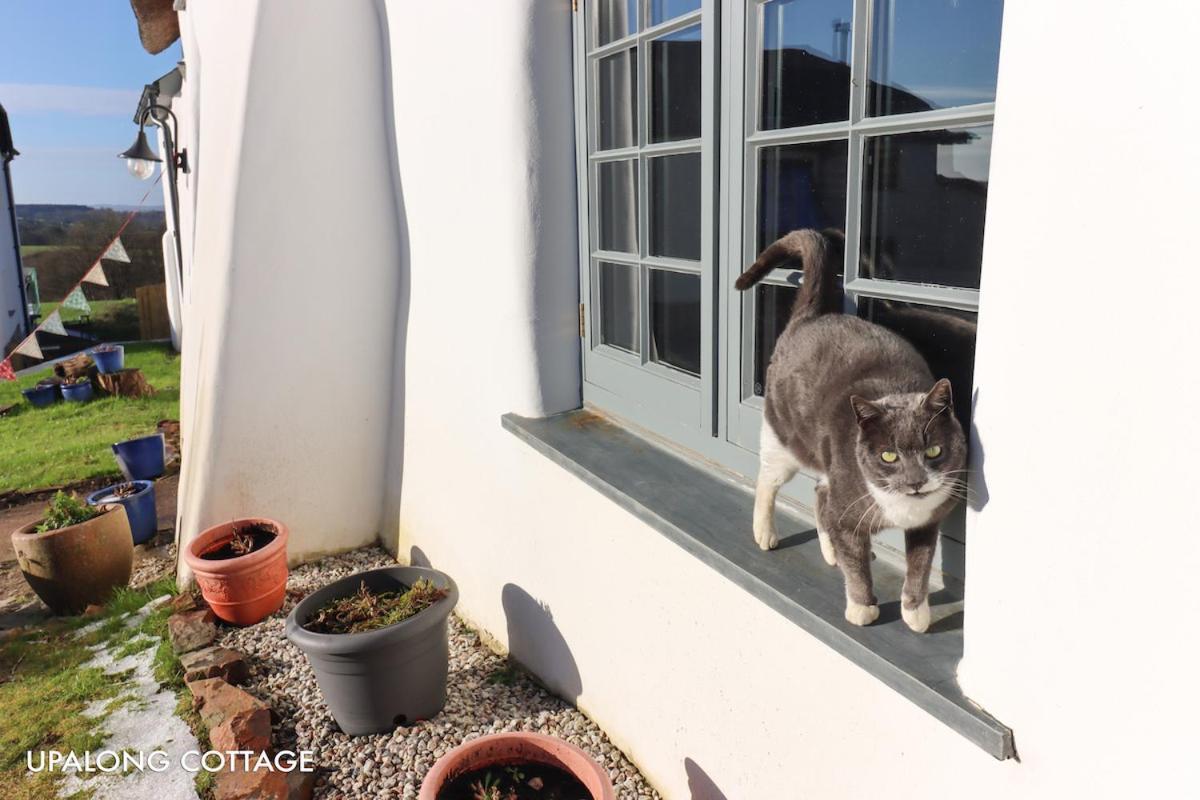 Cobb Cottage - Hiddendevon Winkleigh ภายนอก รูปภาพ